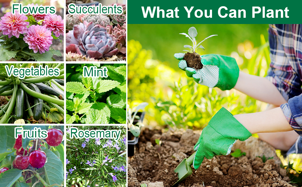 plant germination trays
