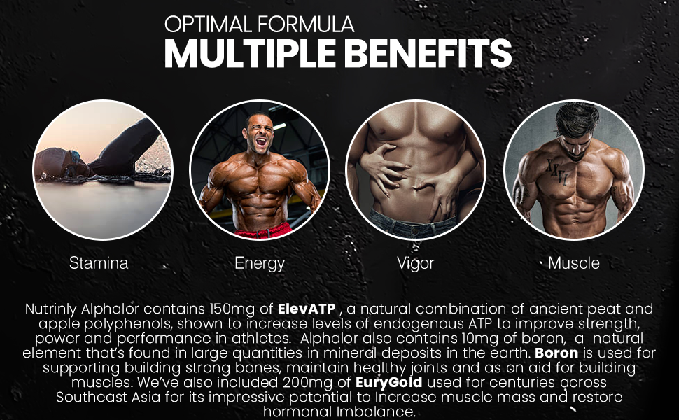 tribulus testosterone shilajit booster support ashwagandha tribulus terrestri testosterone