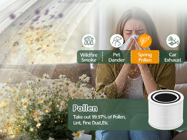 3 IN 1 Core 300 Replacement Filter for LEVOIT Core 300 Core 300S Core 300-P Air Purifier