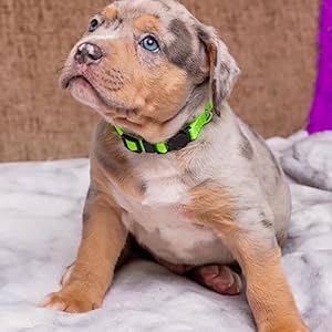 Small manufacture image 4