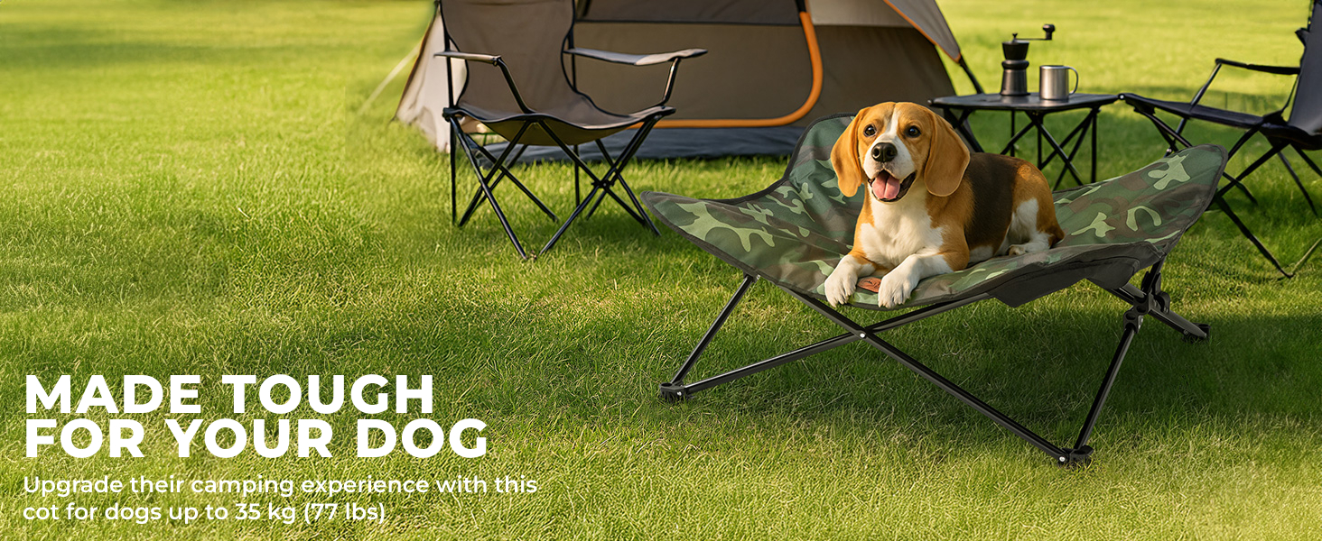 Dog camping cot