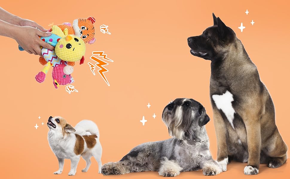 Nocciola Stuffed Plush Squeaky Dog Toys 5 Pack Plush Dog