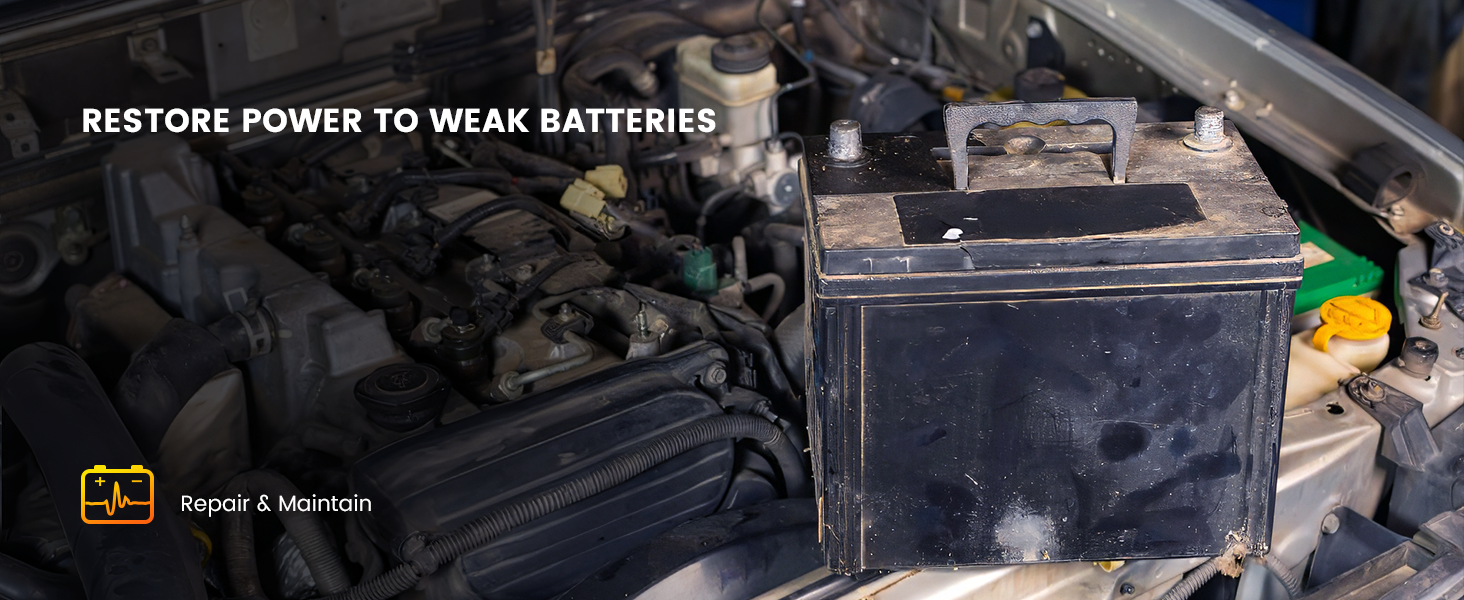 battery maintainer