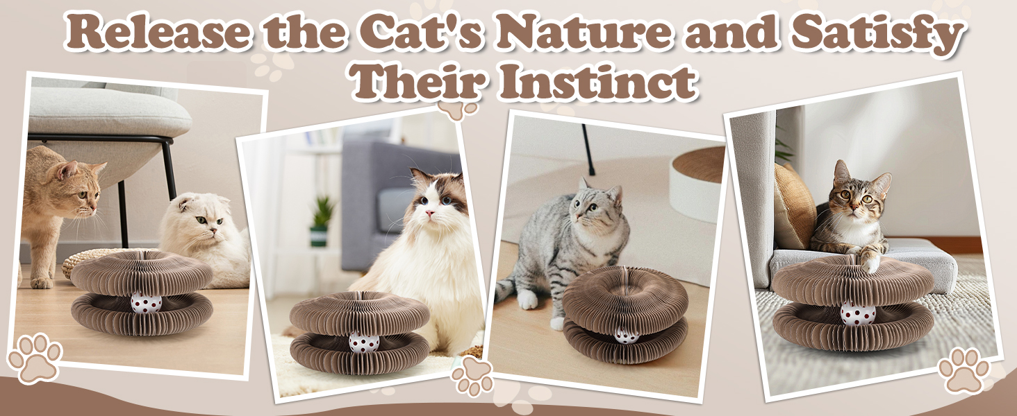 kitty kurlz cat toy