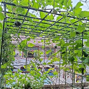 Plant Ties Garden Ties Tomato Ties
