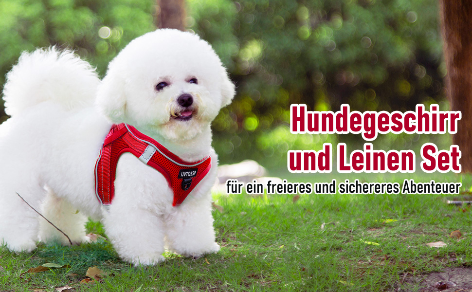 Hundegeschirr