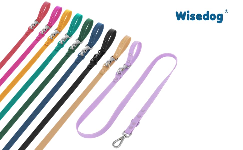 Waterproof Dog Leash Standard Dog Leashes with 2 Hooks for Walking
