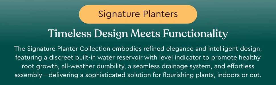 signature planter