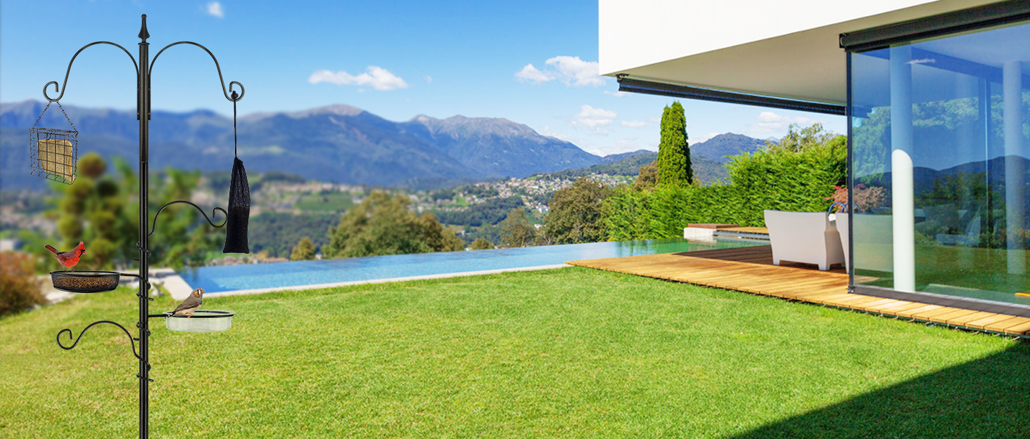 bird feeding station