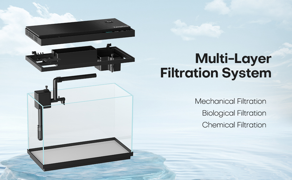 5 gallon fish tank starter kit