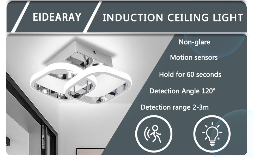 Motion Sensor Ceiling Light