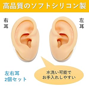 Amazon | SAKIRABITO 耳模型 人口耳 耳つぼ模型 耳モデル 両耳
