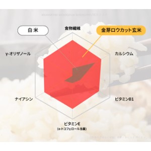 ロウカット玄米 栄養素 消化性 γ-オリザノール ガンマオリザノール LPS 金芽ロウカット玄米 ナイアシン 食物繊維