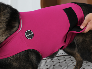 thundershirt dog anxiety