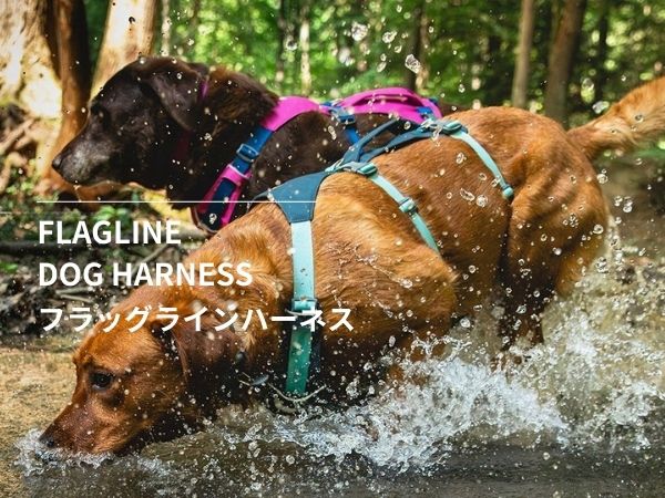 o*o様 【大人気】RUFFWEAR ラフウェア グリーン ハーネス・リード セ o*o様 【大人気】RUFFWEAR ラフウェア グリーン ハーネス