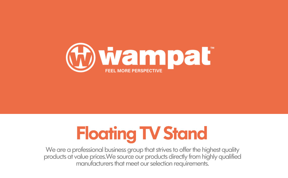 FITUEYES 70 inch TV Stand Floating Wall Mounted