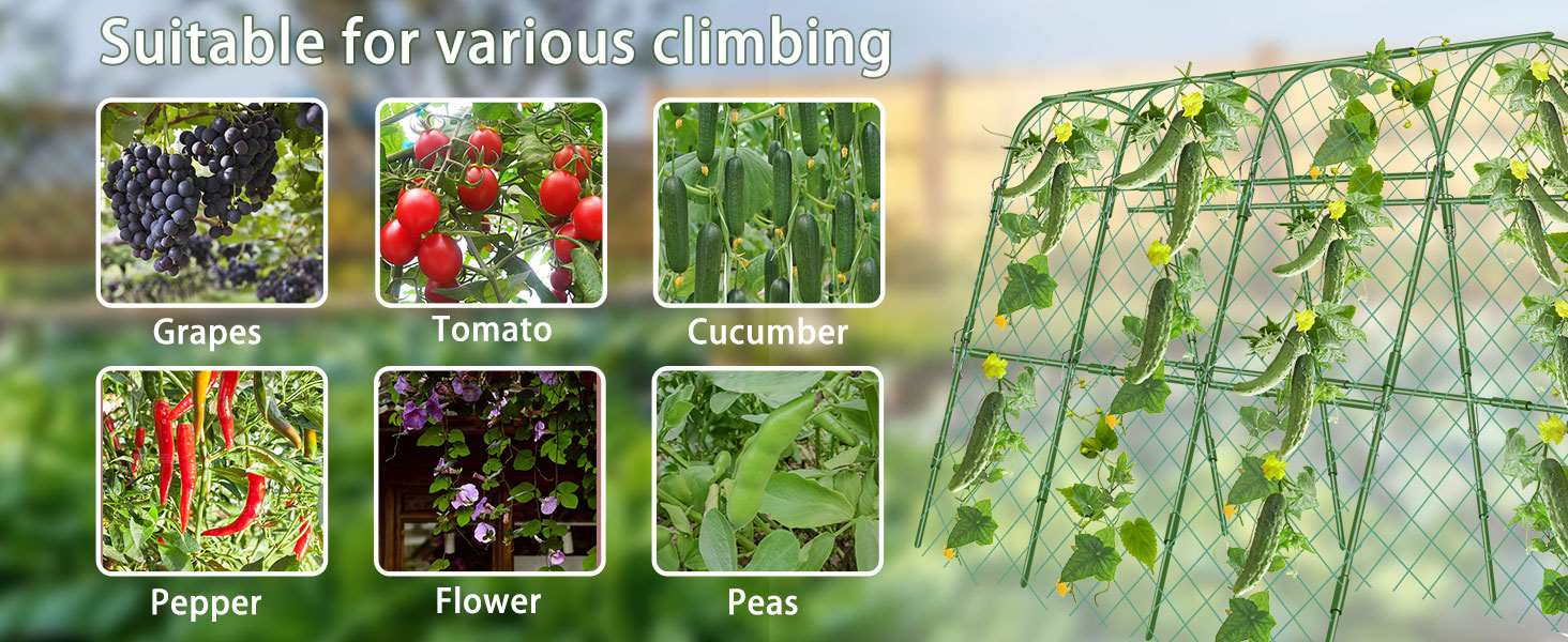 vegetable trellis for raised bed