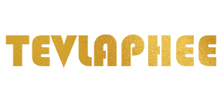 Canne Antivol Voiture