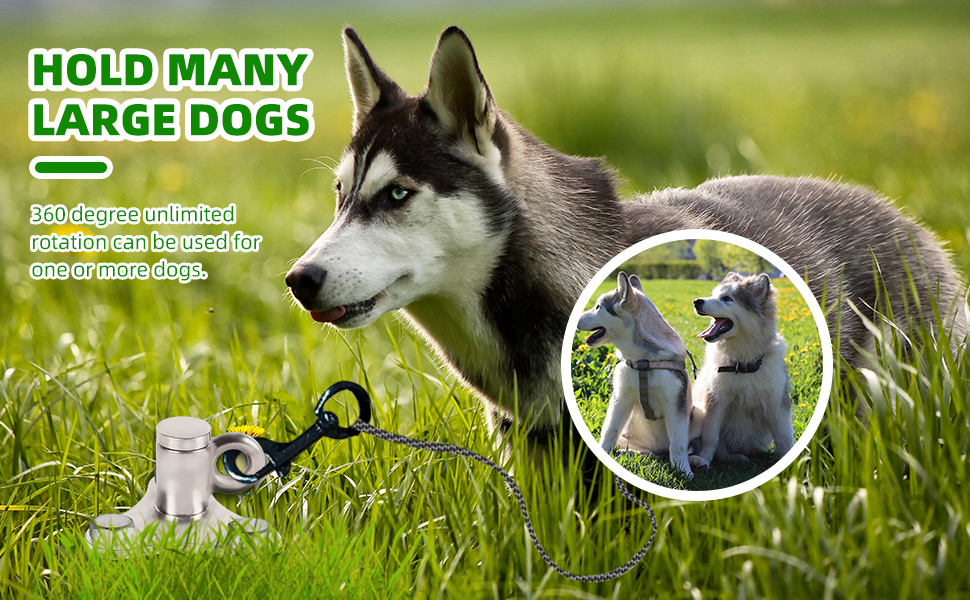 iklekione Dog Tie out Stake 304 Stainless Steel Ground