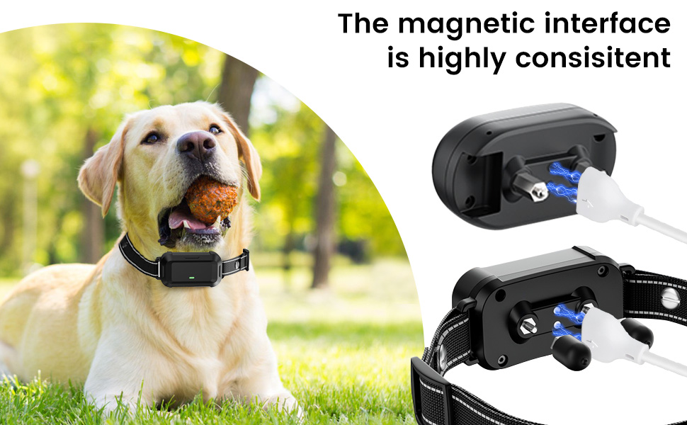 2Pack Charger Replacement for Delupet and Compatible with