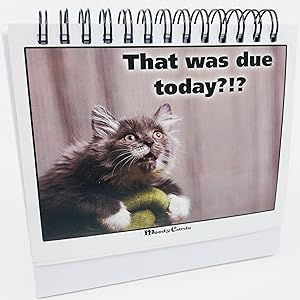 Funny Office Gift For Cat Lovers, Cat Moodycards on a Desk