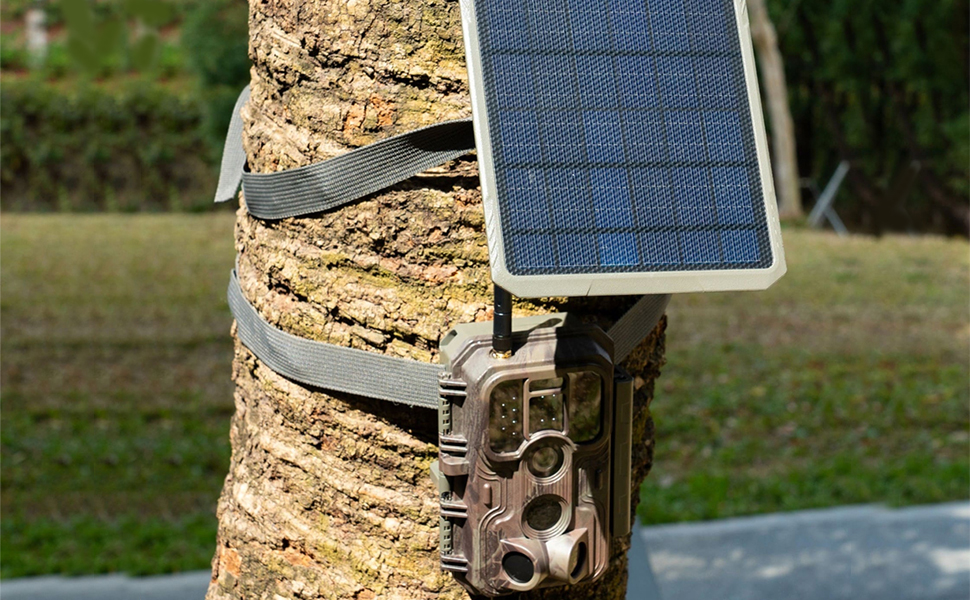 solar panel
