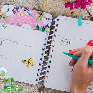 Katie Daisy weekly planner