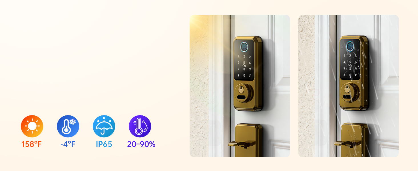 front door lock set gold