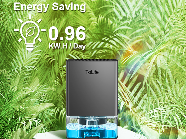 Dehumidifier for Home