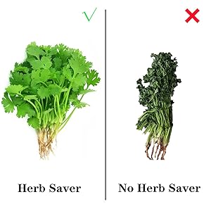 Herb Saver