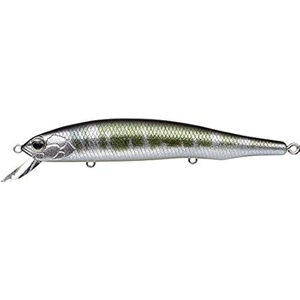 Amazon.co.jp: エバーグリーン(EVERGREEN) ジャークベイト