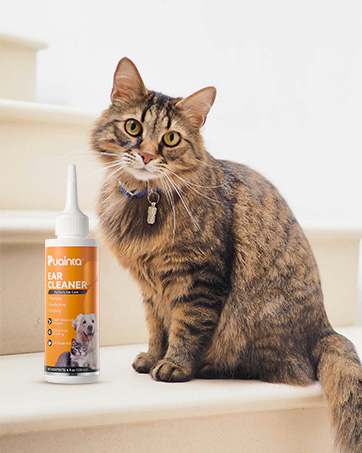 cat ear cleaner