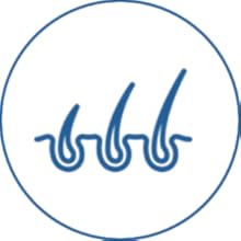 Promotes Hair Growth