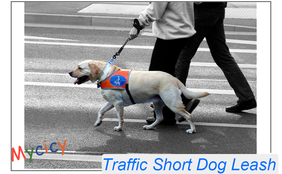 Mycicy Short Dog Leash 18 Inch Rope Traffic Leash with