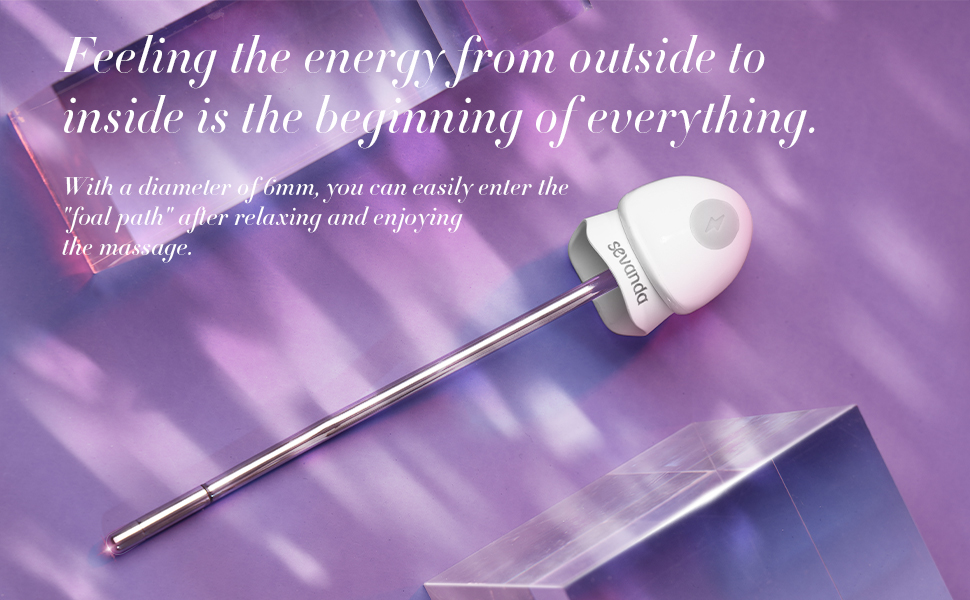 LOCKINK Urethral Sounds Electro Shock and Vibrating