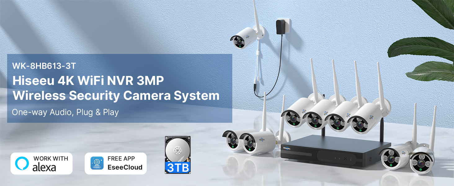 security camera system