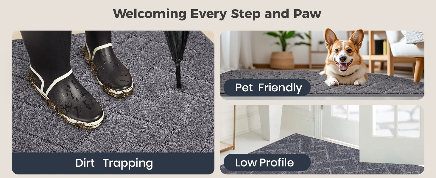 Dirt Trapping Doormats Pet Friendly Low Profile