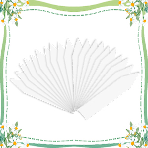 seed germination tray
