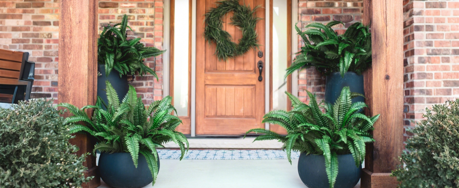 fake ferns