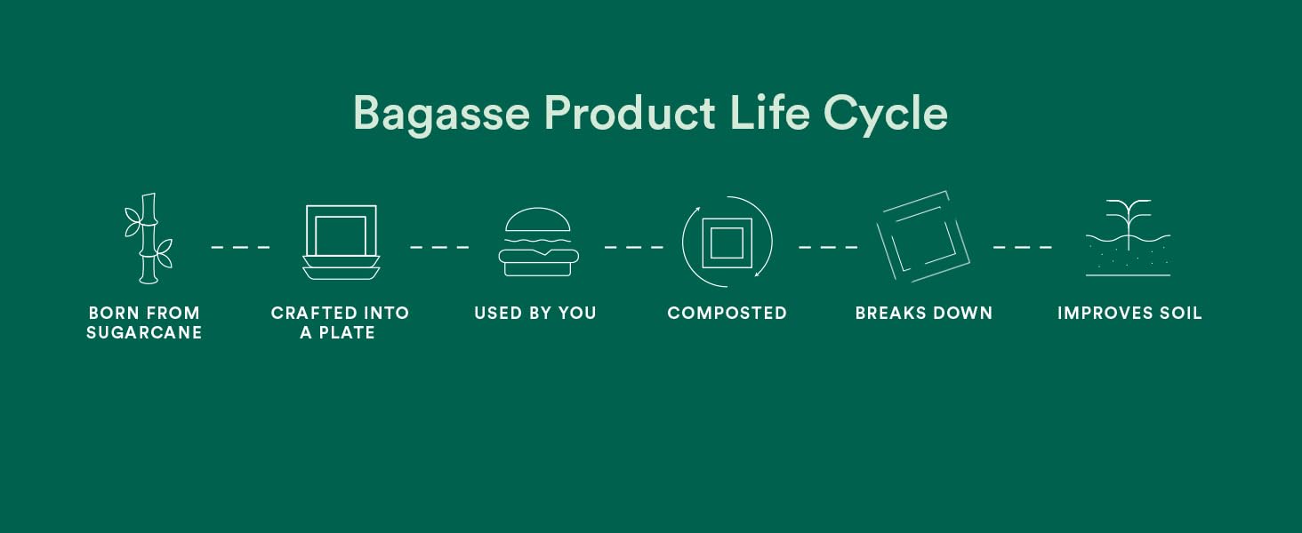 Life Cycle