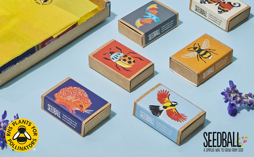 SEEDBALL Wild Flower Seed Bombs Wildlife Collection (6 Pack