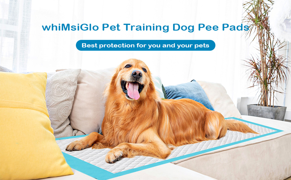 whiMsiGlo Thicken Dog Pee Pads Extra Large, Pet Training