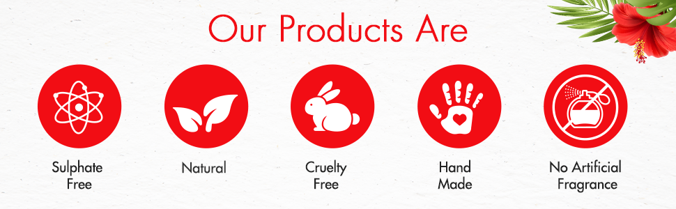 SPN-BNB85 HIMALAYAN ORIGINS organic Hibiscus Hair oil with neem hair growth and hair fall control