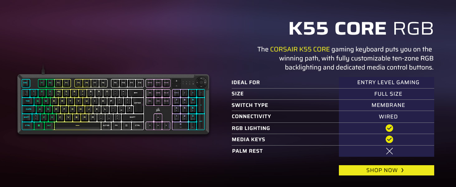 Corsair K70 PRO TKL Black