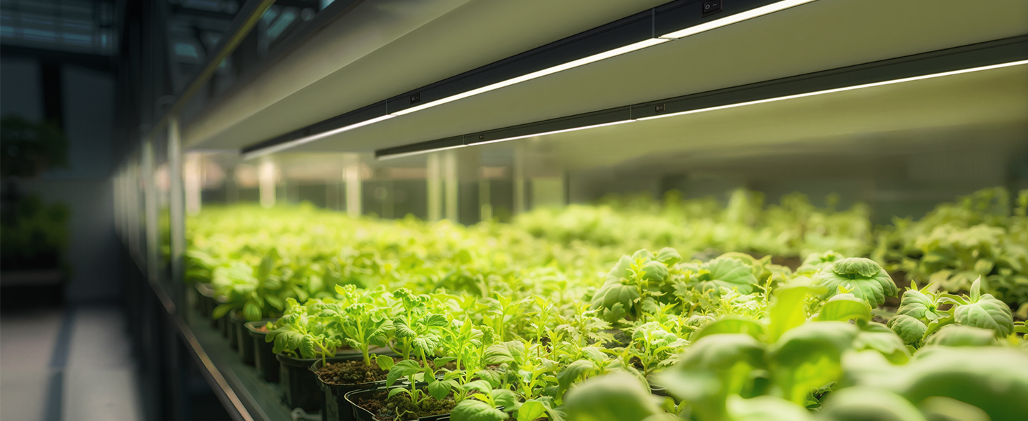 Large manufacture image 6