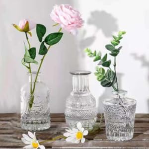 Glass Bud Vases Set of 32,Small Flower V... 21 5