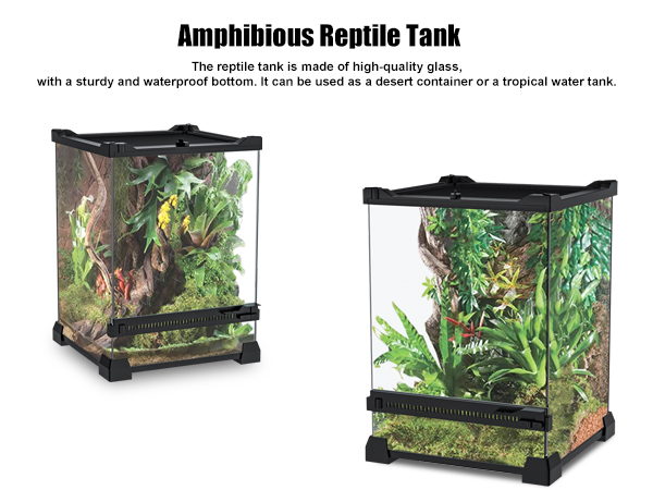 Amazon.com : Reptile Terrarium 8