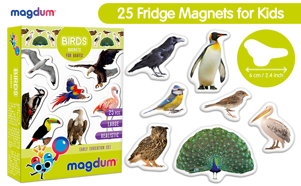 Fridge For Toddlers Magdum 25 BIRDS Fridge Animal
