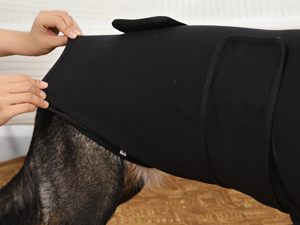 anxiety wraps for dogs