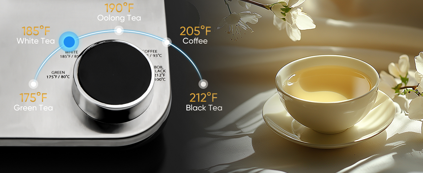 Gooseneck Electric Kettle